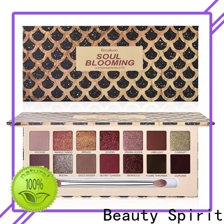 Beauty Spirit factory direct best pigmented eyeshadow palettes long-lasting fast delivery