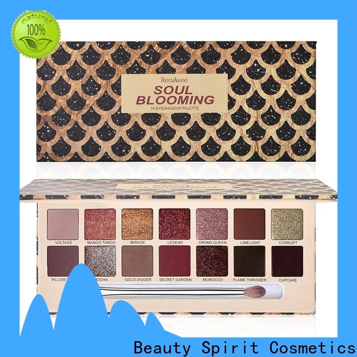 Beauty Spirit factory direct recommended eyeshadow palettes best factory price manufacturer