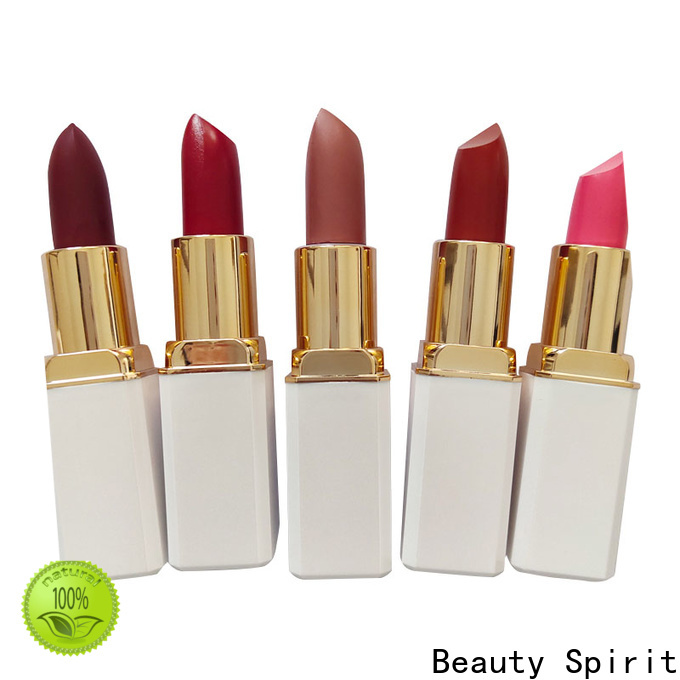 Beauty Spirit good-looking private label lipstick free sample