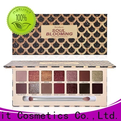 Beauty Spirit factory direct eyeshadow palette sale natural looking free sample