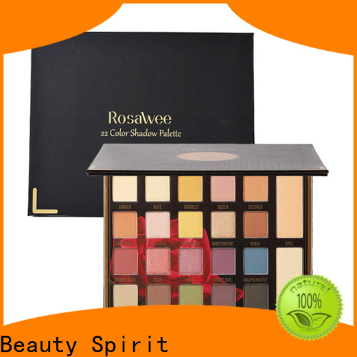 Beauty Spirit wholesale eyeshadow long-lasting fast delivery