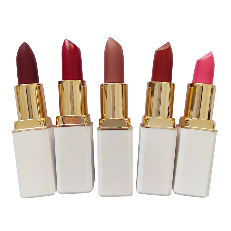 Top brand Quality Waterproof Long Lasting OEM Lipstick LP903